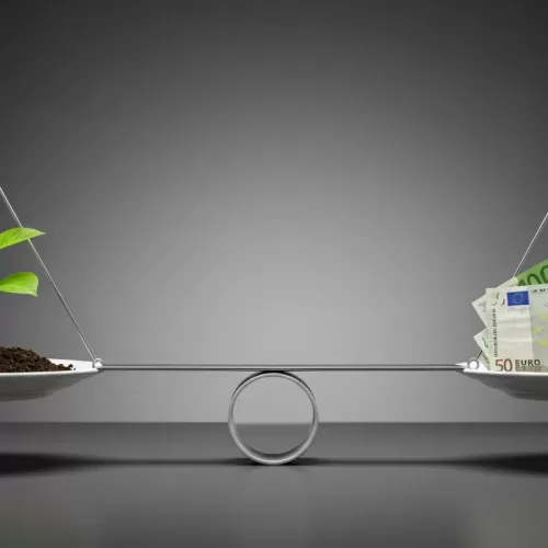 Custo da Inação: 7 Razões Para Seu Dinheiro Não Ficar Parado